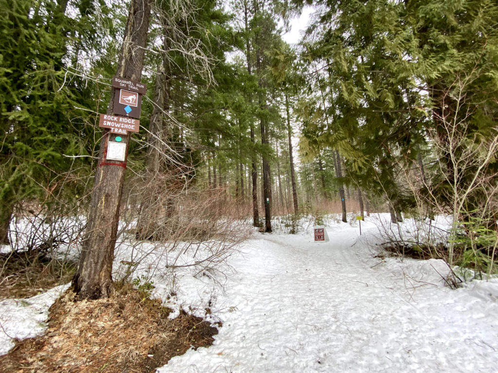 a snowy trail in the woods