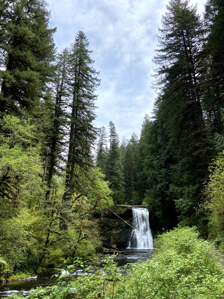 silver creek falls near salem, or