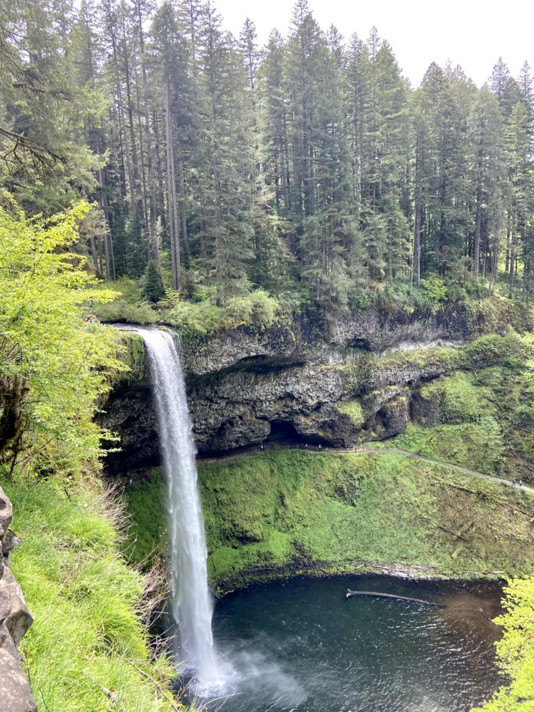 what to do in salem: Silver Creek Falls State Park near Salem, OR