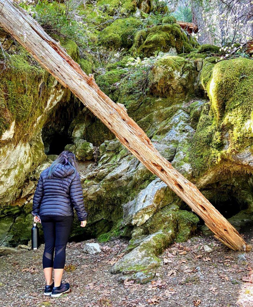 blind vents at Oregon Caves National Monument