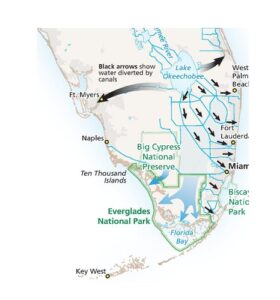 Trip Planning: Everglades National Park - Gulf Coast Hi Friends, It's Laura