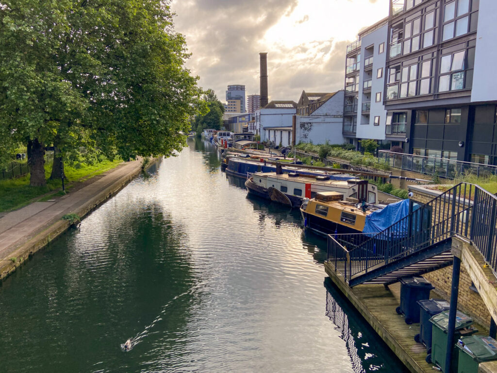 image shows a canal in London. On one side is a large tree. On the other are several narrow boats. a duck glides in the canal.