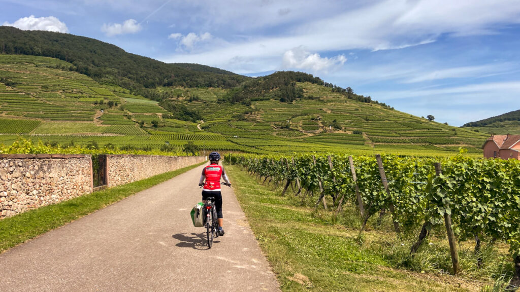 image shows a cyclist in a bright red shirt cycling on a dirt path through terraced vineyards