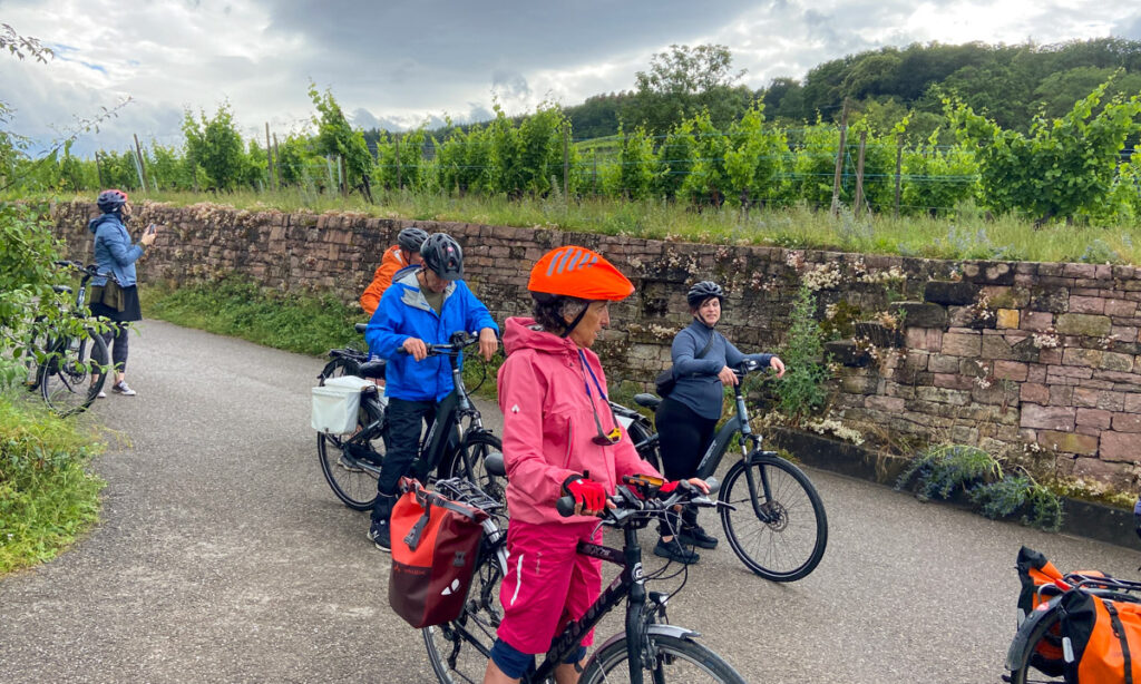 The group of five cyclists dressed in rain gear, including waterproof jackets and pants, posing against a backdrop of rainy vineyards.